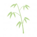 sasanoha
