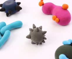virus2
