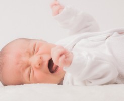 baby2