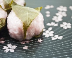 sakuramoti