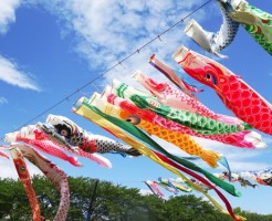 koinobori2