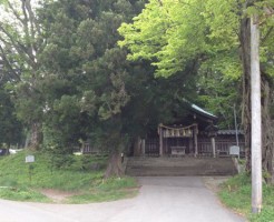 maemiya