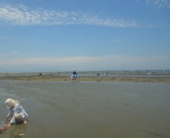 shiohigari