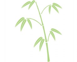sasanoha