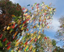 tanabata