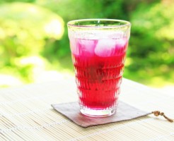 shiso