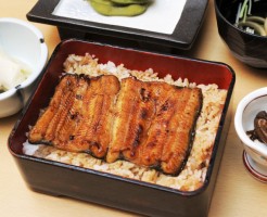 unagi