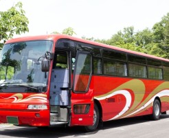 bus